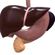 Pancreatic Cancer related image